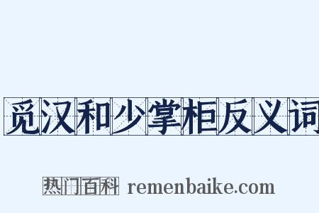 觅汉和少掌柜反义词是什么意思的图片